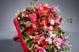 Muttertag 2016 - Blumen sagen Danke!
