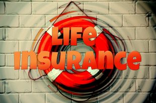 Versicherung-Domains und Insurance-Domains - die Domains der Versicherungswirtschaft  