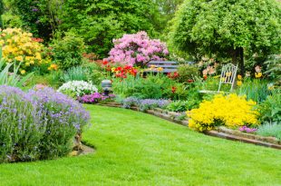 Fit für die Gartensaison: Rasen richtig säen