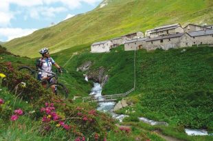 Defereggental in Osttirol: Almrosenfest feiern und aktiv sein  