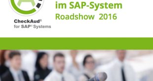 Strukturiertes Risikomanagement im SAP-System