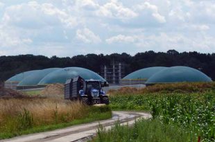 Ob Gas oder Strom, Biogas kanns!  
