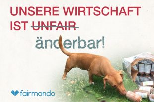 Frisches Hundefutter fair gehandelt: Fairmondo setzt auf DOGGIEPACK