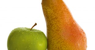 Nicht Äpfel mit Birnen vergleichen: Tipps bei der Suche nach Bestattern im Internet
