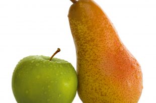 Nicht Äpfel mit Birnen vergleichen: Tipps bei der Suche nach Bestattern im Internet