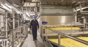 Lamb Weston: Joint Venture: Erste Pommes-Fabrik für Russland  