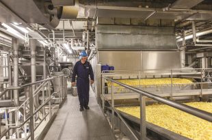 Lamb Weston: Joint Venture: Erste Pommes-Fabrik für Russland  