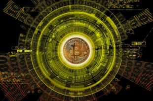 Bitcoin & Co.: Die Kryptowährungen werden immer beliebter  